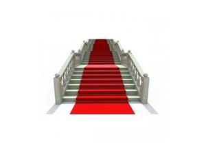 PROTOKOL LINE SERİSİ